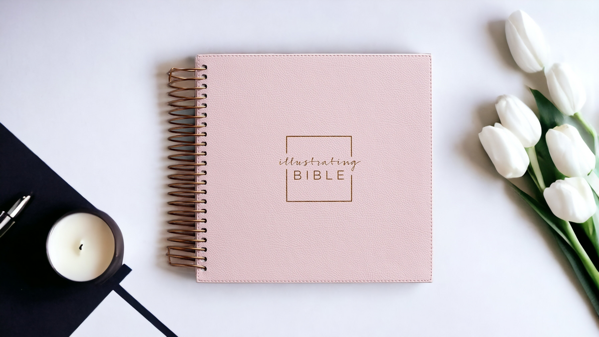 Illustrating Bible NIV Pink [Book]